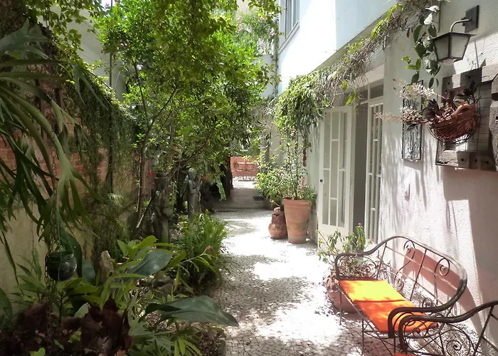 Zen Hotel Brasil